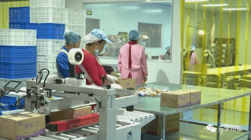 云夢經濟開發區 以完善服務體系為抓手，實現政企雙贏的信息系統運行維護新篇章